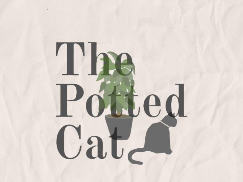 The Potted Cat